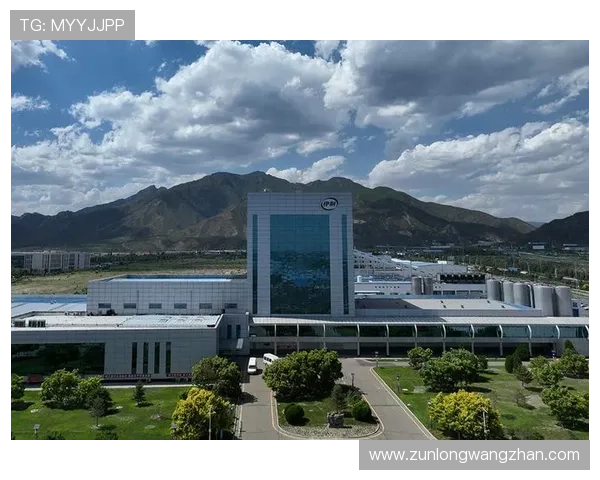 尊龙集团网址全面解析，带你深入了解这家企业的运营模式和策略